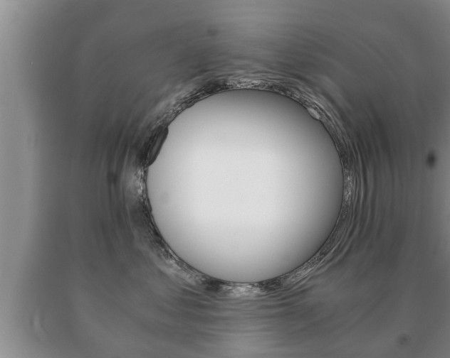 X0000091060621200708061001