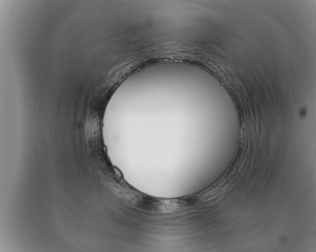 X0000091060623200708061001