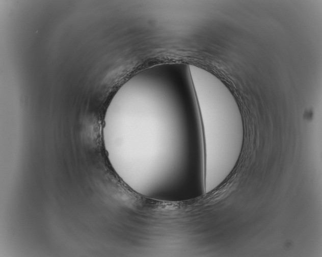 X0000091060624200708061001