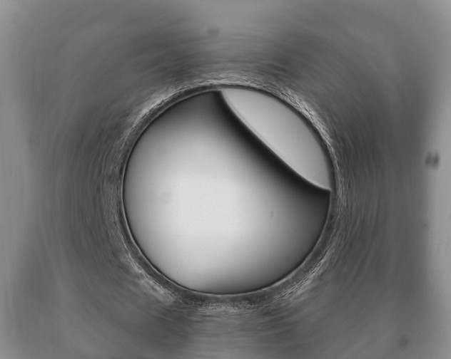 X0000091060625200708061000