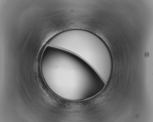 X0000091060626200708061000