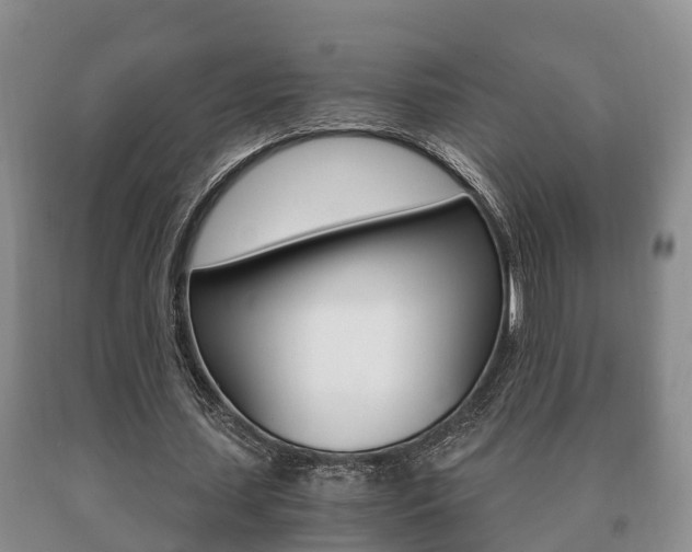 X0000091060627200708061001