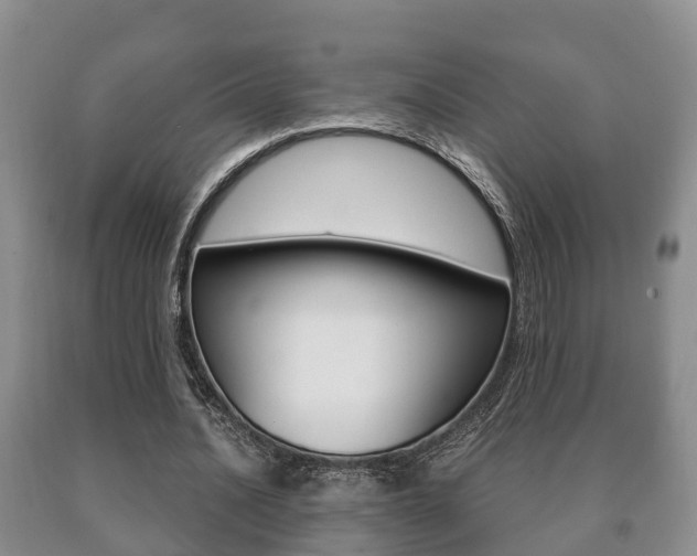 X0000091060628200708061001
