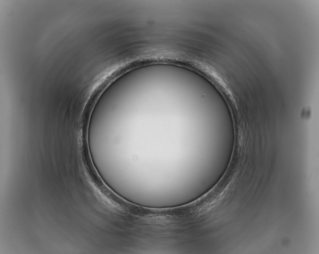 X0000091060629200708061001