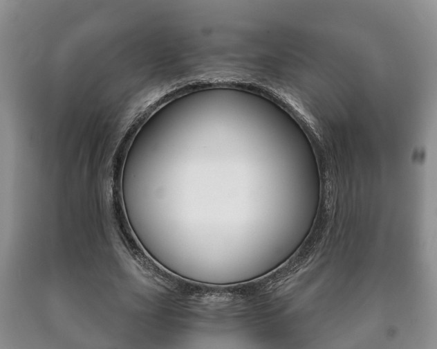 X0000091060631200708061001