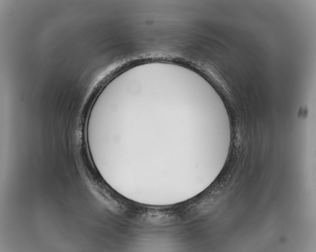 X0000091060632200708061001
