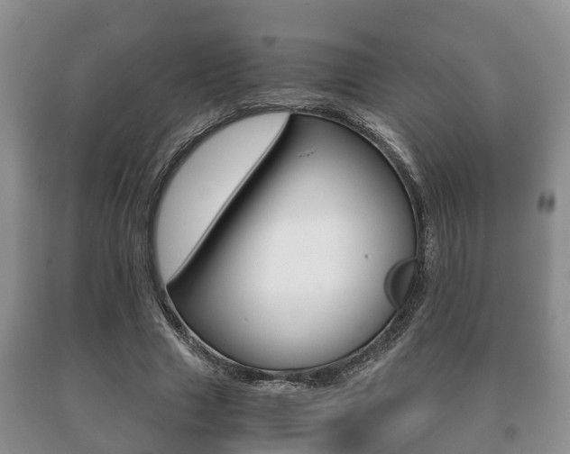 X0000091060633200708061001