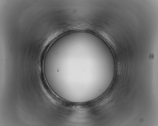 X0000091060634200708061001