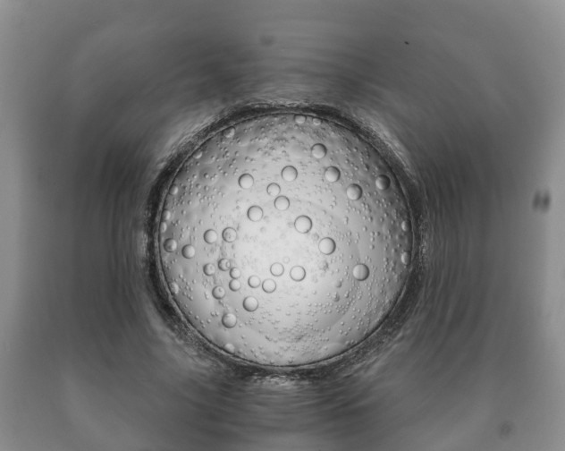 X0000091060635200708061001
