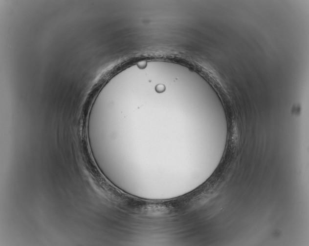X0000091060636200708061001