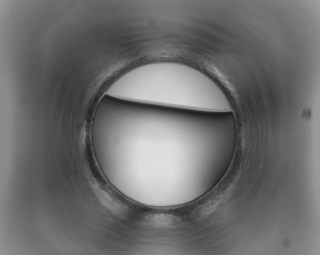 X0000091060637200708061001
