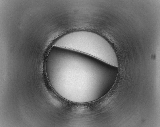 X0000091060638200708061001
