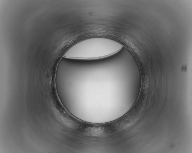 X0000091060639200708061001