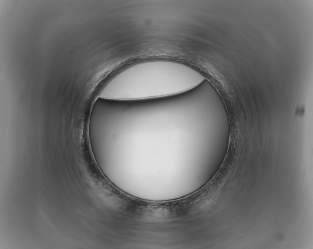 X0000091060640200708061001