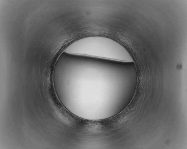 X0000091060642200708061001