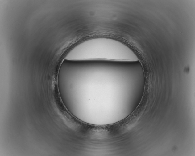 X0000091060644200708061001