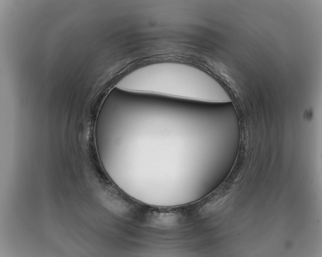X0000091060645200708061001