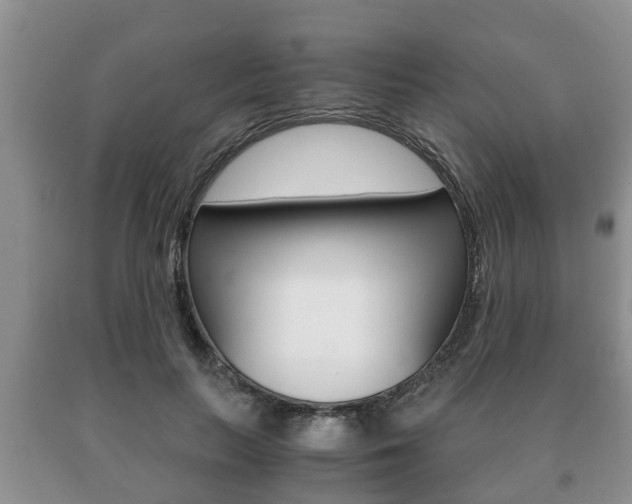 X0000091060647200708061001
