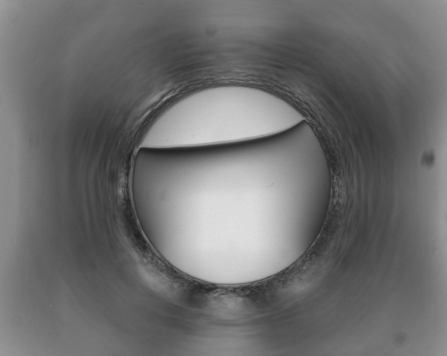 X0000091060648200708061001