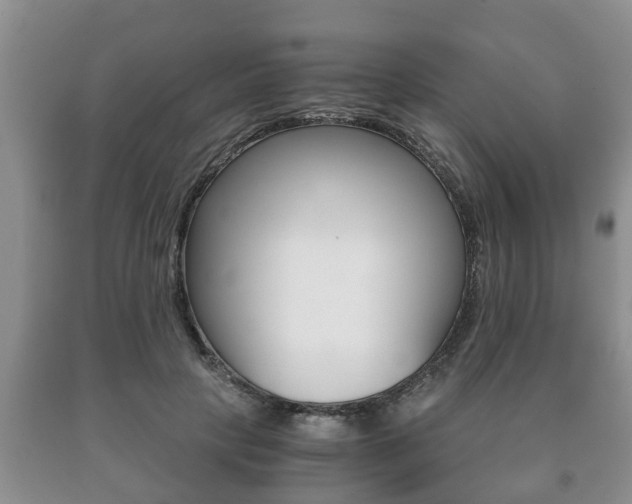 X0000091060649200708061001