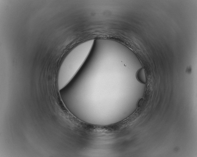 X0000091060650200708061001
