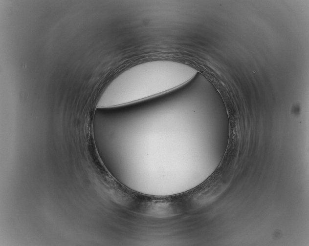 X0000091060651200708061001