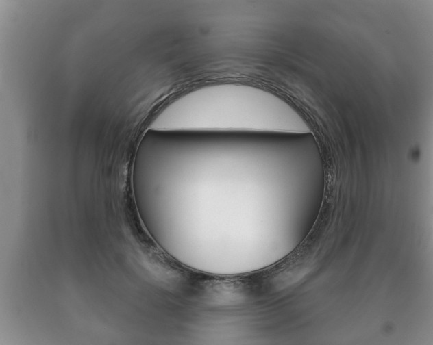 X0000091060652200708061001