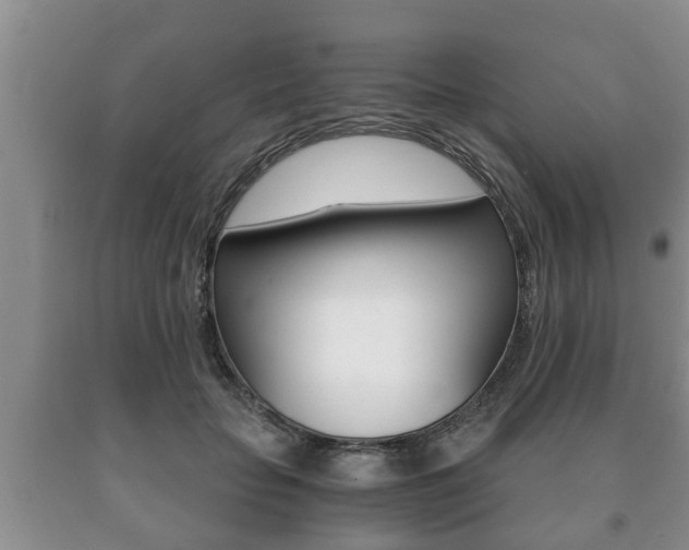 X0000091060653200708061001