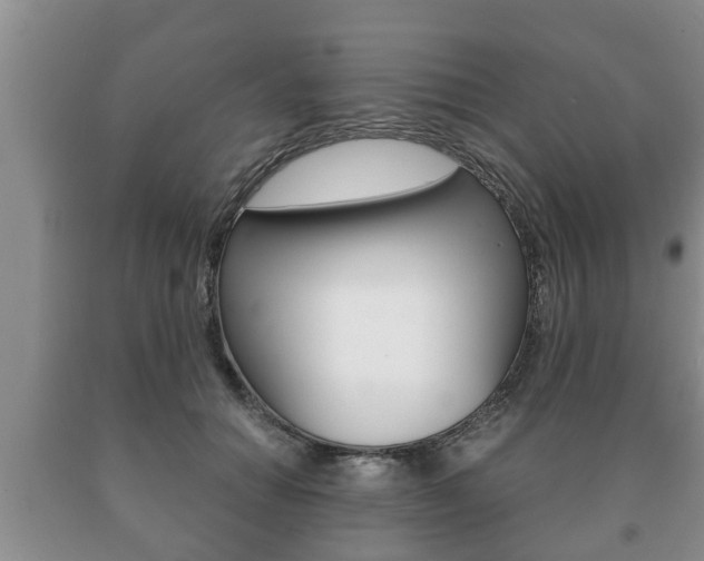 X0000091060654200708061001