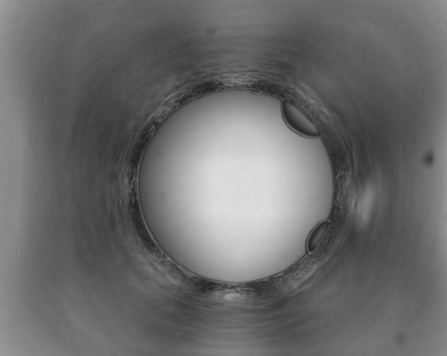 X0000091060655200708061001
