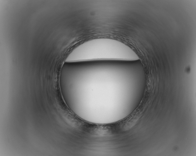 X0000091060656200708061001