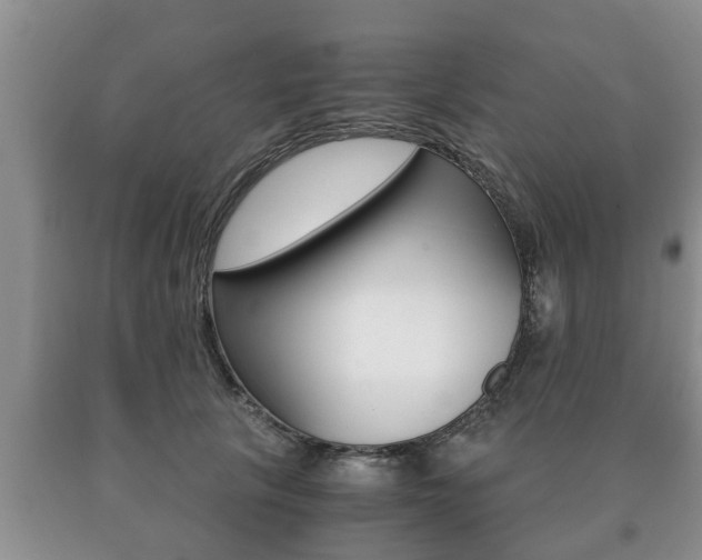 X0000091060657200708061001