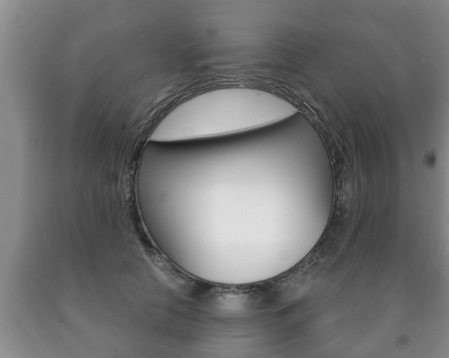 X0000091060658200708061001