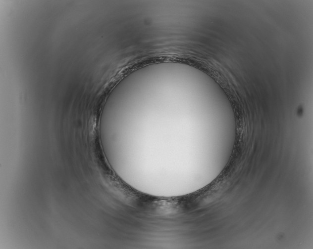 X0000091060660200708061001