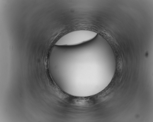 X0000091060661200708061001