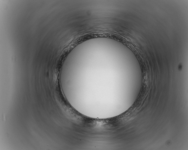X0000091060662200708061001
