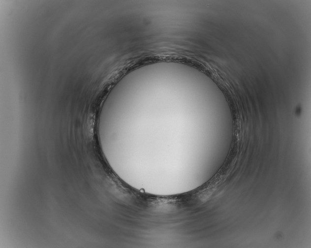 X0000091060664200708061001