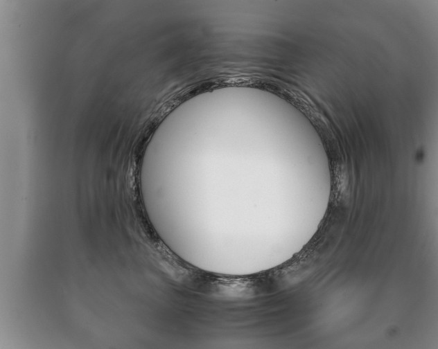 X0000091060667200708061001