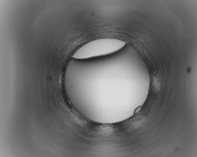 X0000091060668200708061001