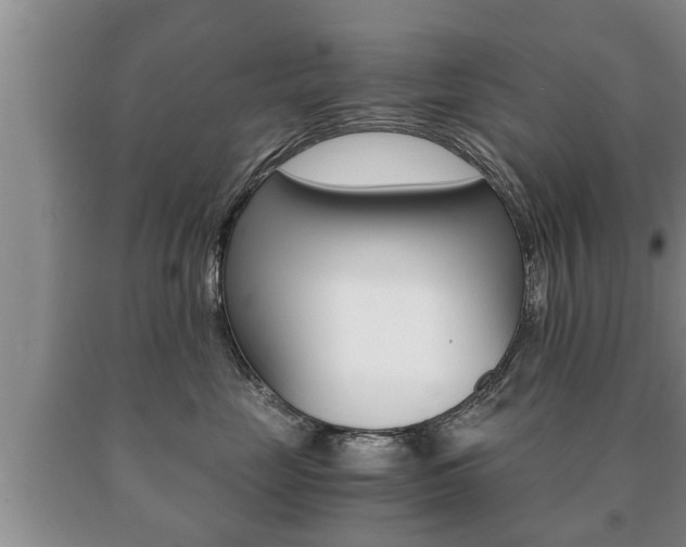 X0000091060669200708061001