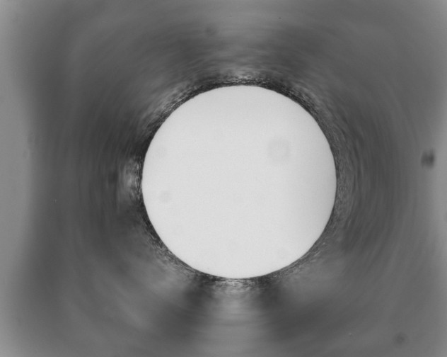 X0000091060672200708061001