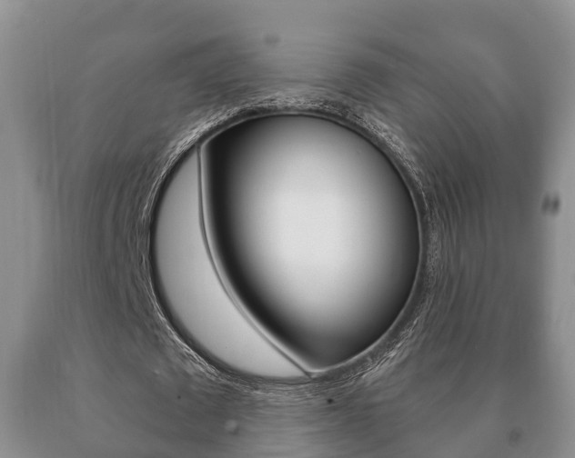 X0000091060673200708061000