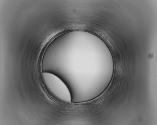 X0000091060674200708061000
