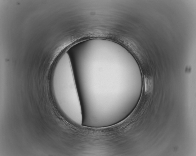 X0000091060675200708061000