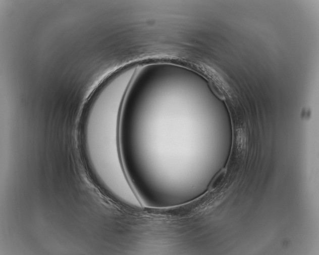 X0000091060676200708061000