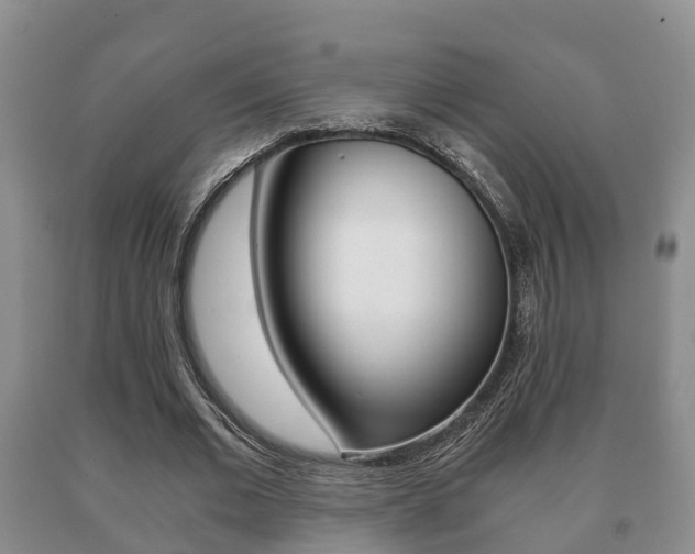 X0000091060677200708061000