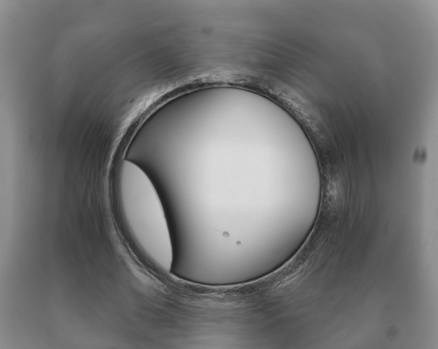 X0000091060678200708061000