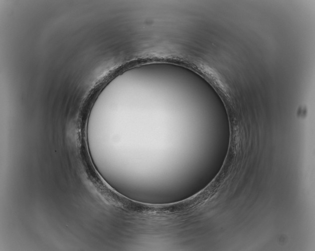 X0000091060680200708061000