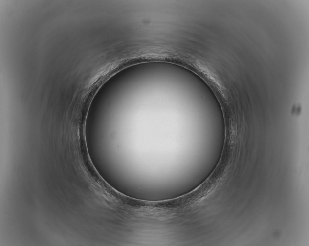 X0000091060681200708061000