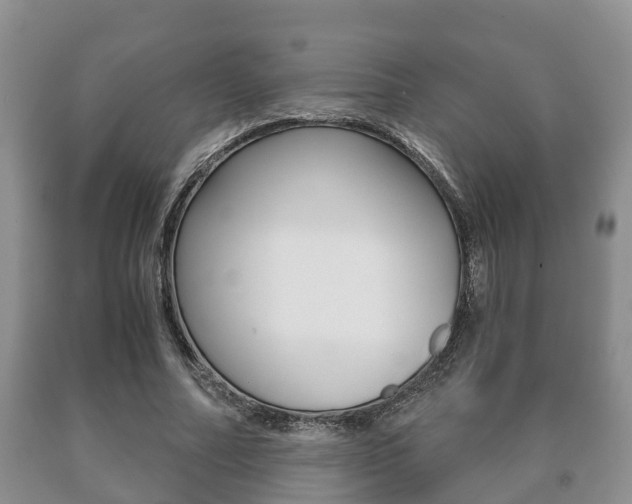X0000091060682200708061000